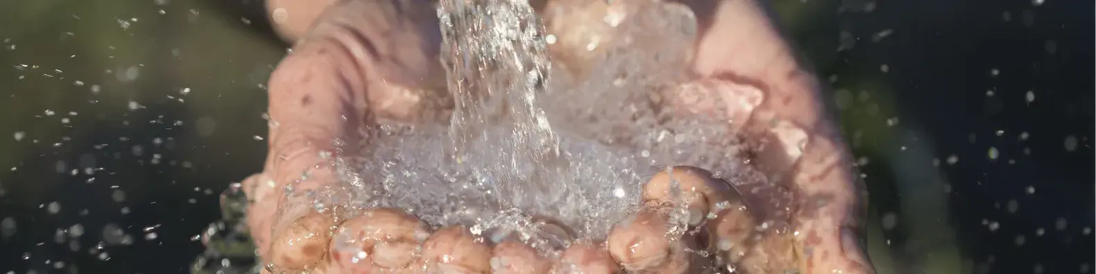 jaki zmiękczacz wybrać